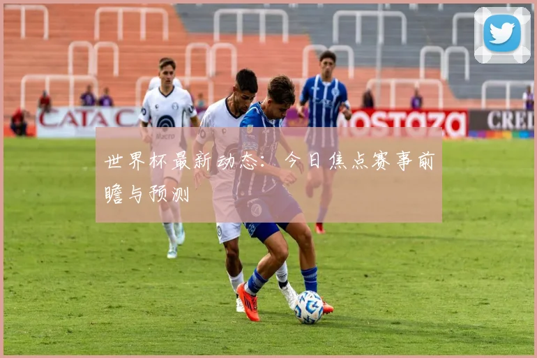世界杯最新动态:今日焦点赛事前瞻与预测
