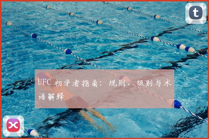 UFC 初学者指南:规则、级别与术语解释