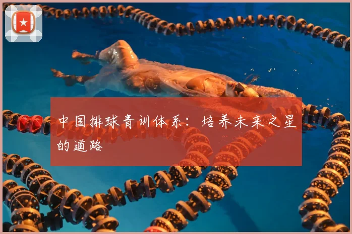 中国排球青训体系：培养未来之星的道路