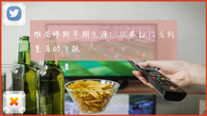 维尼修斯早期生涯：从弗拉门戈到皇马的飞跃