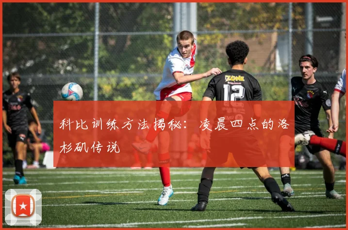 科比训练方法揭秘:凌晨四点的洛杉矶传说