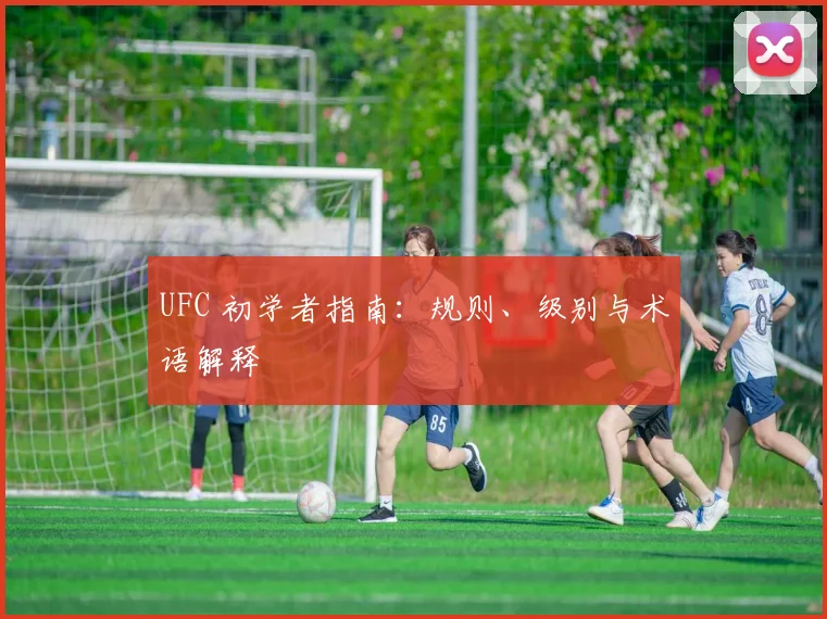 UFC 初学者指南：规则、级别与术语解释
